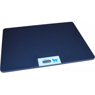     Momert 6681